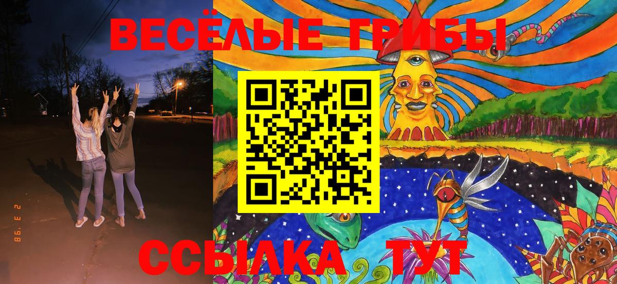 Галлюциногенные грибы мицелий Кулебаки