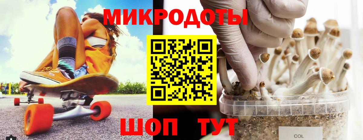 дарнет шоп  Вход с VPN  Кулебаки  Галлюциногенные грибы Cubensis 